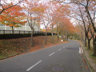 004.JPG
