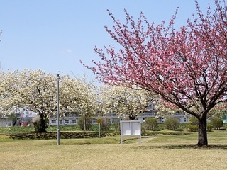 004.JPG