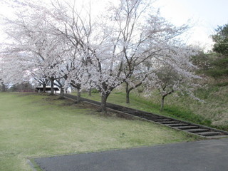 004.JPG