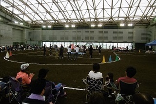 P1030526.JPG